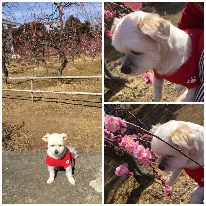 B1ce70de af6d 4171 89a8 1b367f6d8c4e 1550813683925