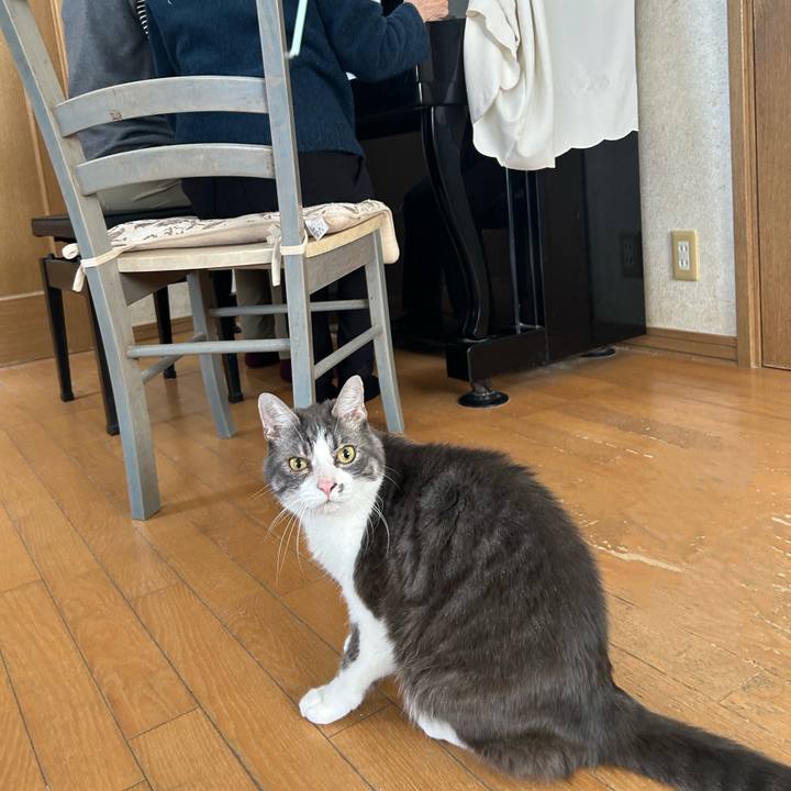 B1ce7722 217e 4c56 b2d2 49352cda69b0 1773843590483