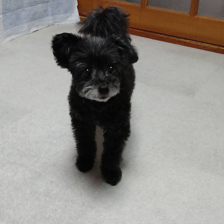 B1ce8f6c b0f2 4573 8100 303a953b1fd0 1658586681057