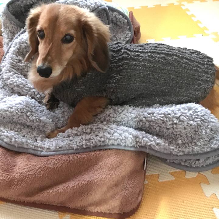 B1cead80 b388 4890 bc91 d4b7c3ed389b 1611318743579