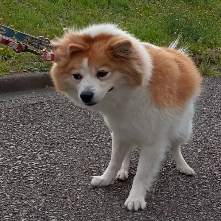 B1cece45 9104 4445 be28 3d489a82e176 1682162131650