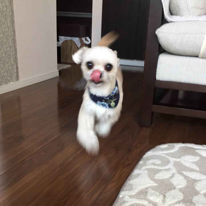 B1ced079 f1ff 49ad 94b6 60e4eb662f58 1552114504074