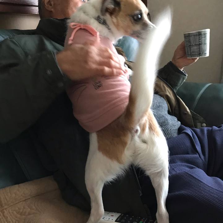 B1cee01a ec77 41c2 8c25 2c6c8e6c7628 1548750434491