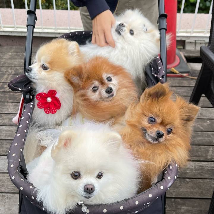 B1ceed46 0b85 4e00 93a3 90ae98240529 1668339223759