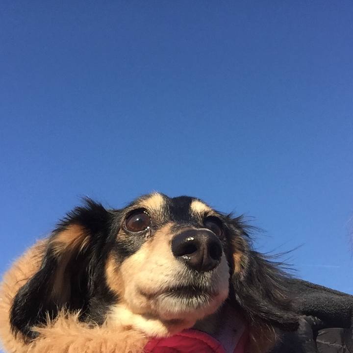 B1cf01e9 99be 4539 a5c6 617f4536fcca 1514591417874