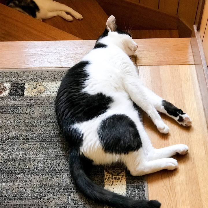 B1cf2dbe 3ea2 4e9f bca8 cff94385ce42 1534774933179