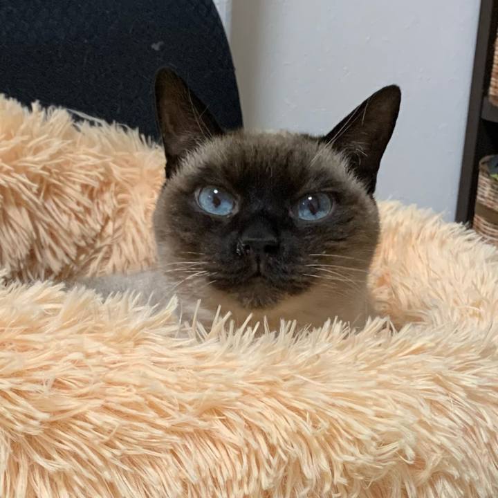 B1cf3821 c7f7 4d18 be07 f53746ca379a 1611094786665