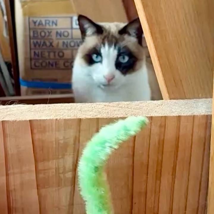 B1cf47af 9909 40a4 ab57 56aa9c67aada 1768791806355