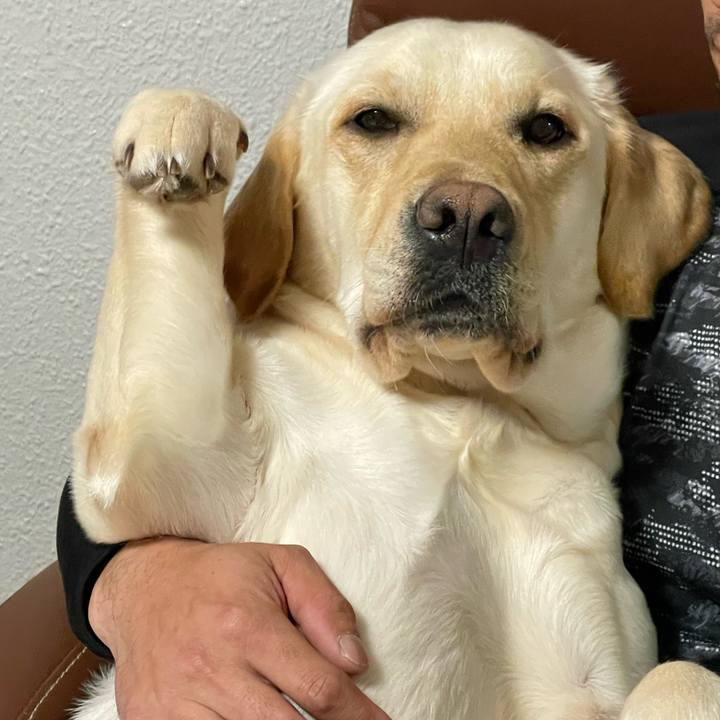 B1cf55f0 bebf 4615 a81f 1fcfbacdc18a 1677674849608