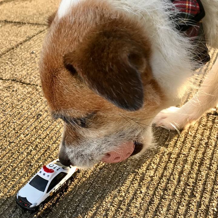 B1cfb00c 6032 4d5f ab4f ffcdec4fbfba 1592904606790