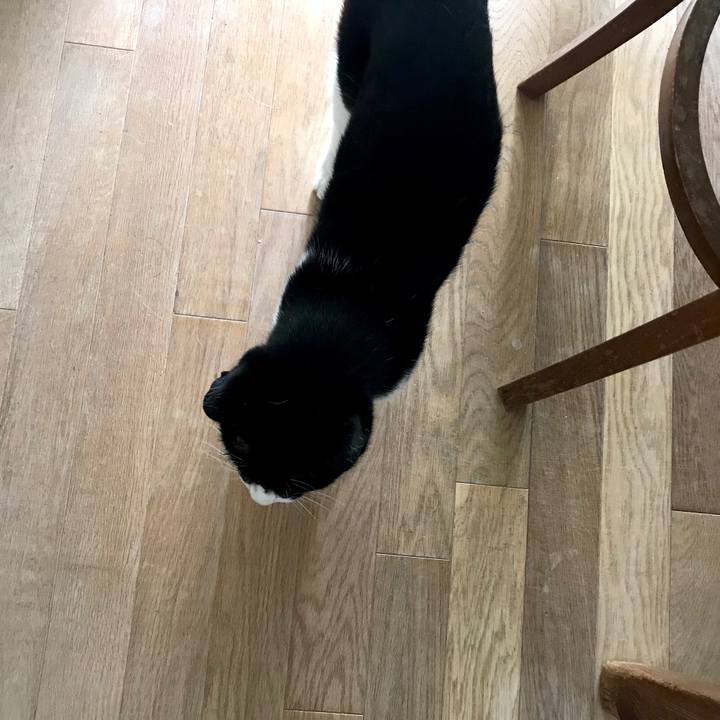 B1cfb10e 2372 47b3 aad6 47177ff24b6e 1566015675671