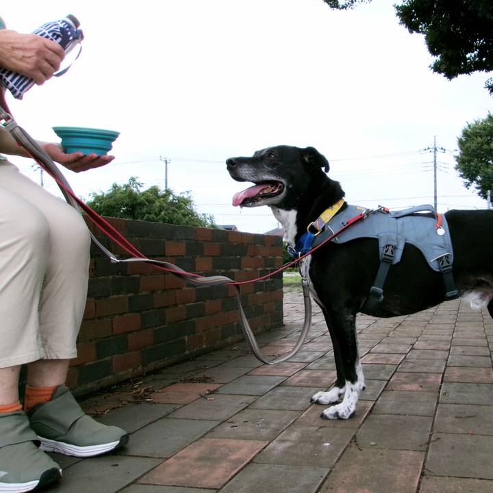 B1cfc0fe 352e 450c 8681 492e17d85699 1754093337066