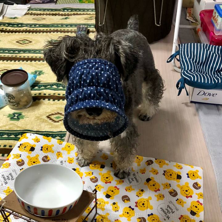 B1cfc192 5dad 4521 96e3 ba5fbe920cdc 1636588223709