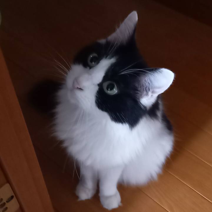 B1cfc21c dbba 4756 8454 b5addbb976ec 1661466739901