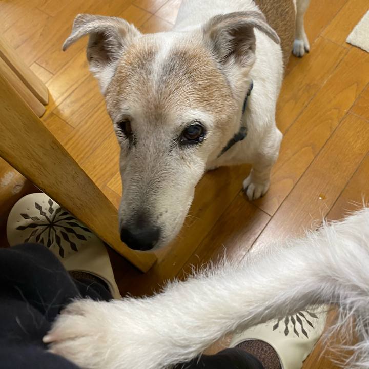 B1cff417 17c7 48ac b5a1 c6826b189602 1710367802645