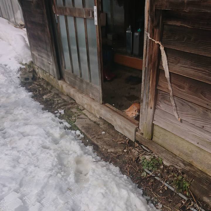 B1d01180 bd5a 4dc3 8922 c64afd92cd00 1645073146524