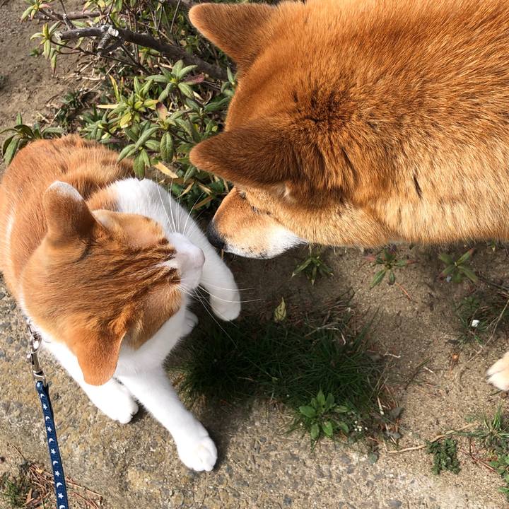 B1d01791 8b8c 4cf2 86ce 2b81da4096c0 1554599199619