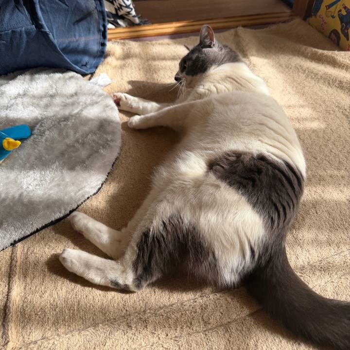 B1d09244 cf2b 4117 afaf 1274ed7cf4ed 1768879206061