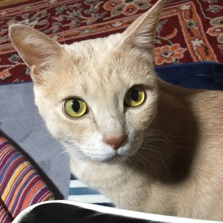 B1d0a55d 3ddd 455e 90f7 e2a4dc325165 1547608303909