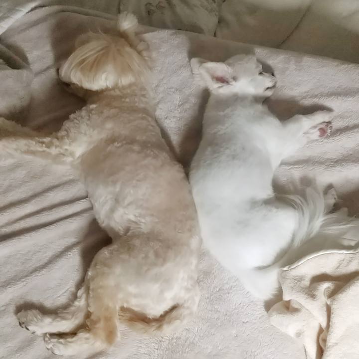 B1d0a986 e36a 4210 9194 df92dd591681 1623765794485