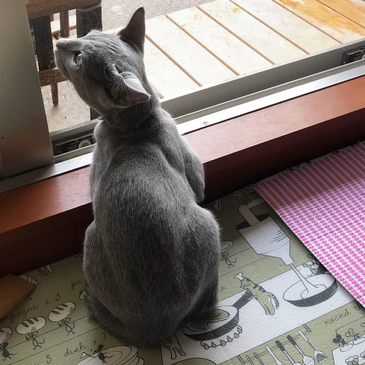 B1d0be3f 4c5d 44b9 9897 63cab3f80ac6 1512425765544