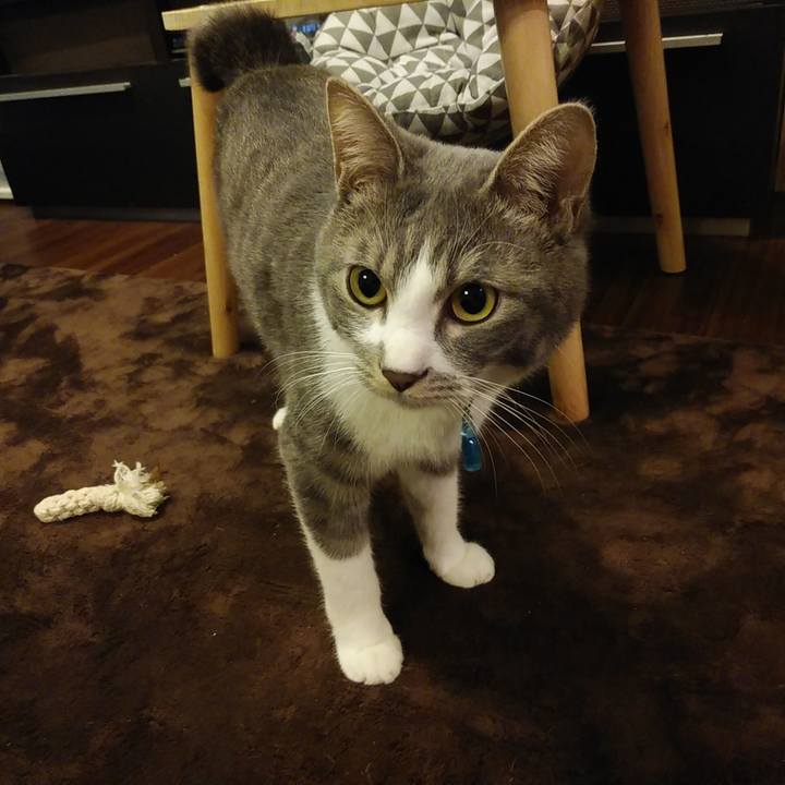 B1d0e50b 0b1d 4052 9352 f6e160054503 1585488311862