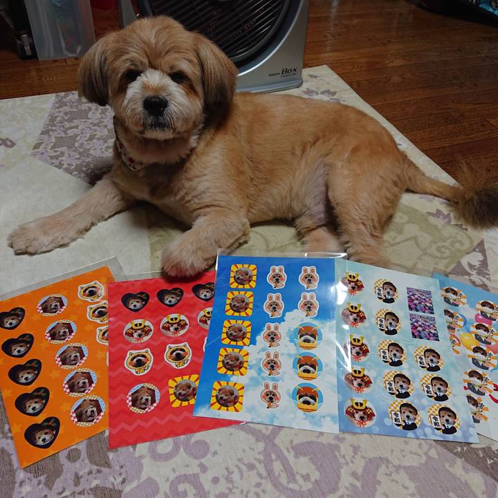 B1d100b7 e309 442b ae9d b703451f81a4 1593078631933