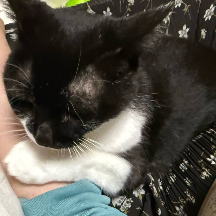 B1d11238 eee6 4faf 9187 96a0f824cb6d 1761745158077