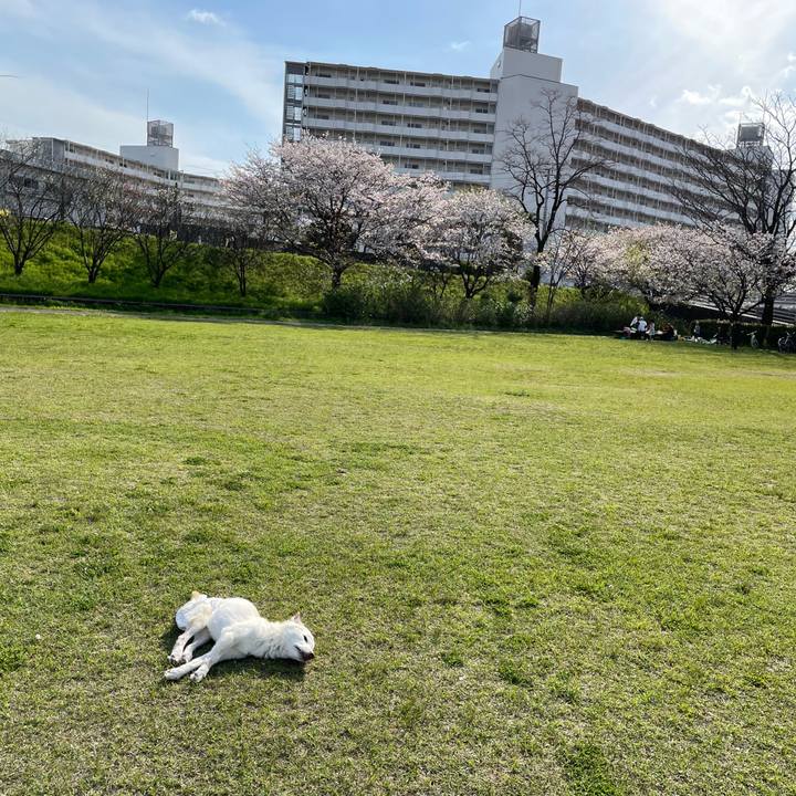 B1d13053 905b 4853 8f24 b2429057dc14 1680434154408