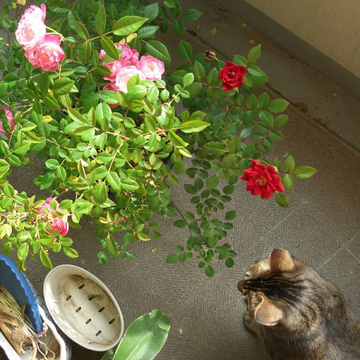 B1d18cdc f470 4158 85cc 488c14fde74c 1570280896725