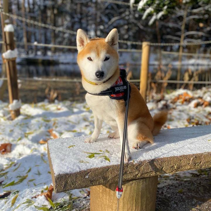 B1d1c509 84f8 4583 9788 4b1dc38e6ddb 1700882319844