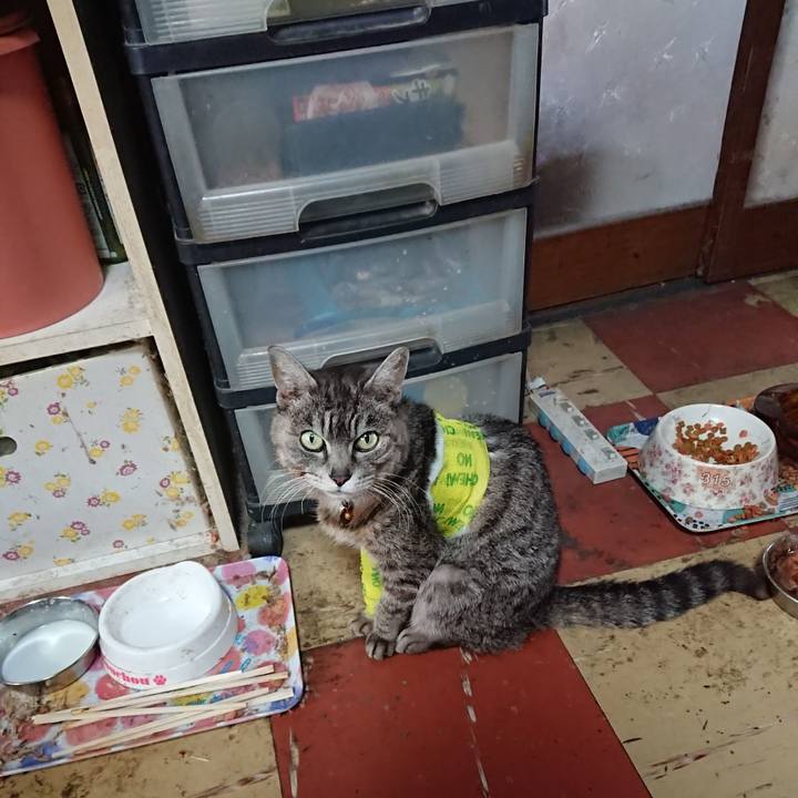 B1d1d820 75bf 45e3 916f 122e78b3e052 1586403868858