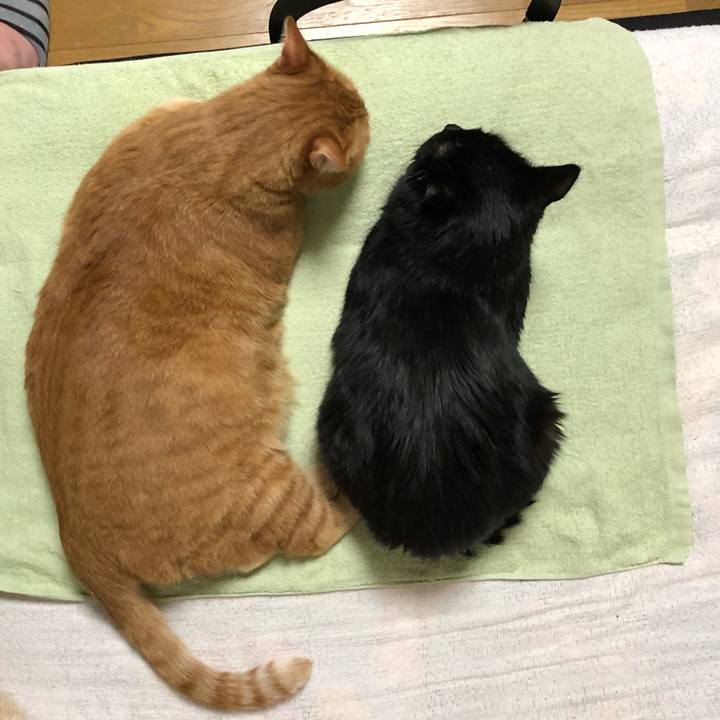 B1d1db54 b329 4e71 bc12 d4993098be63 1610273573099