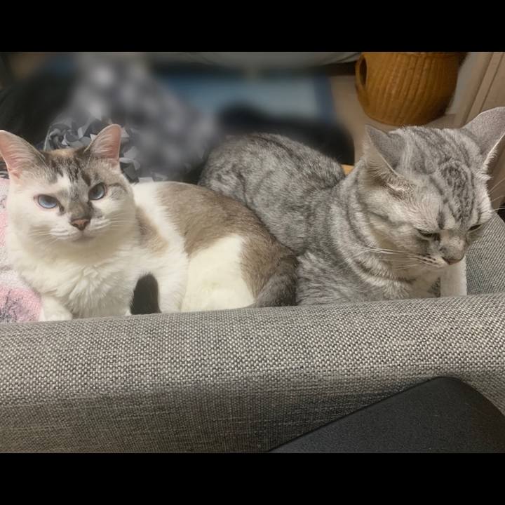 B1d1ed0f ffbc 4feb b53f f006202eb43b 1623655844113