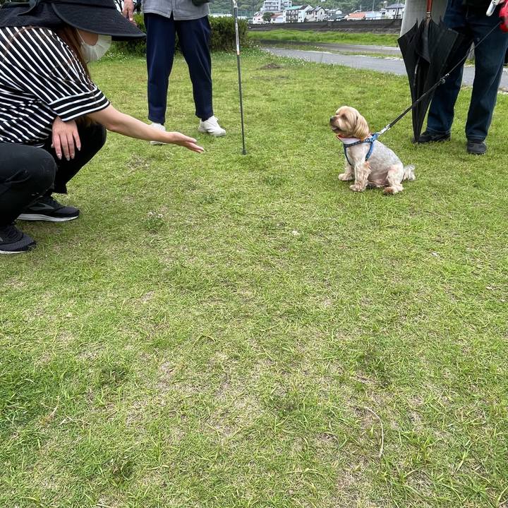 B1d1ed26 089a 4956 9159 1f831fec9244 1685190972359