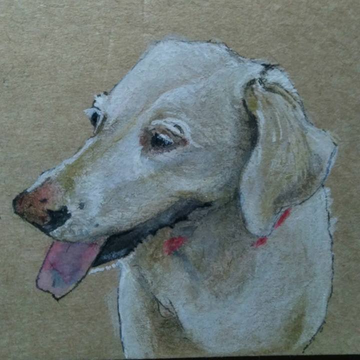 B1d2170f 8500 49d1 9758 e242b2374b14 1521463106750