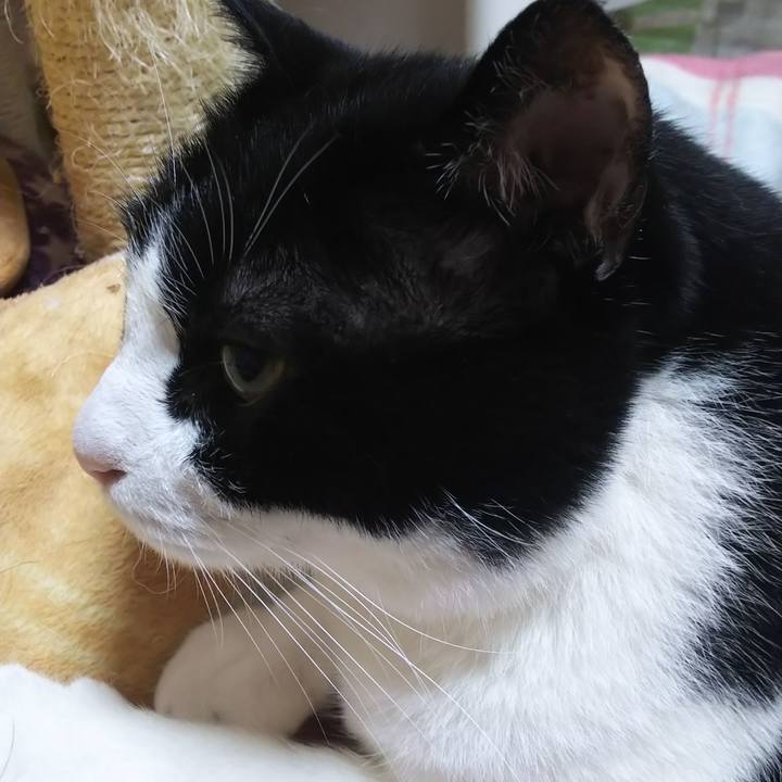 B1d229b1 88c2 4cd8 a544 5eac62774038 1563164395681