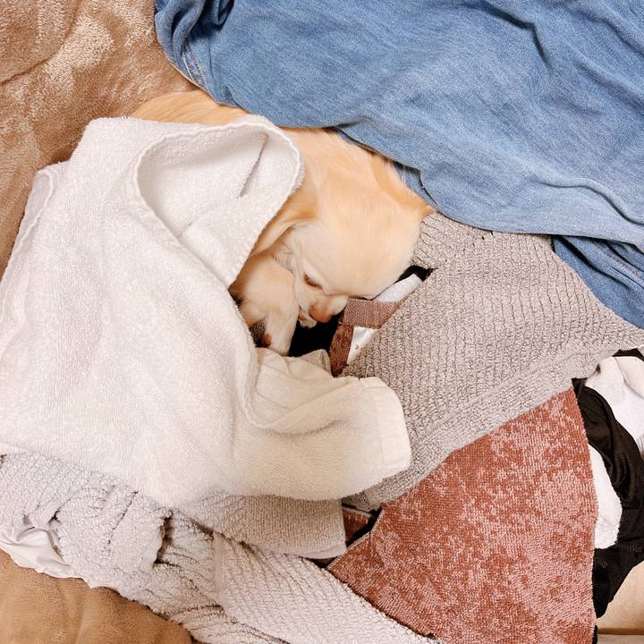 B1d22e3d b2bb 469b 99f5 a1f9547f7220 1673949277691