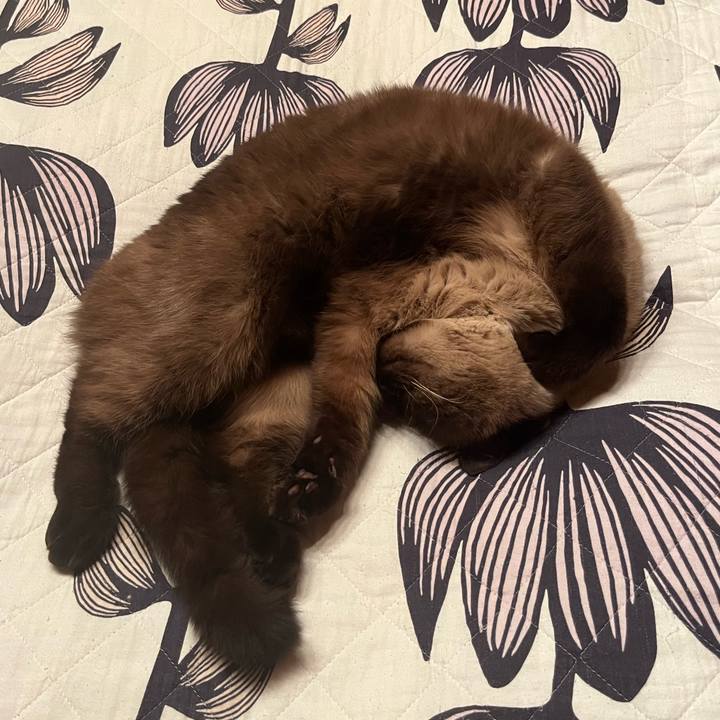 B1d2342f 4afb 4ae9 9c3d fa73712f35b9 1670844739663