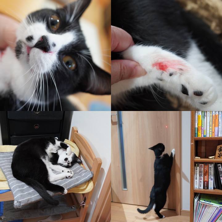 B1d23aba 8f20 4fcc b6b5 26c271fa5dd5 1592313230841