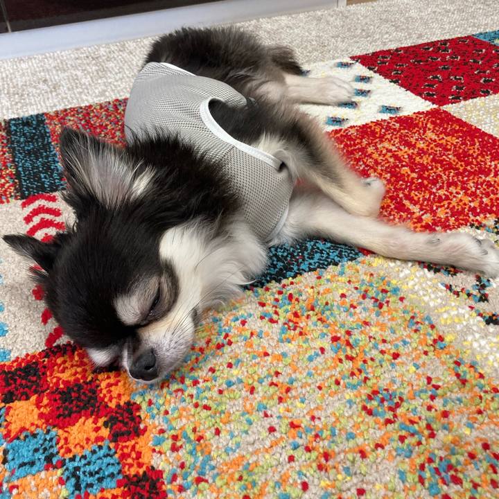 B1d25231 744e 446f af3e 6448f4f48ff3 1693113080202