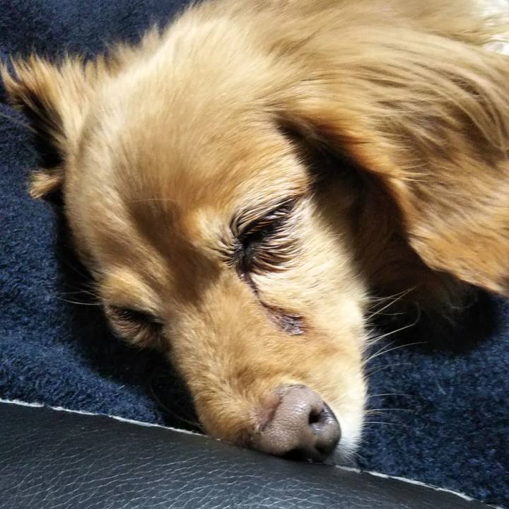 B1d26bab 0fff 44df a14d f87edf3b41f6 1638181355542