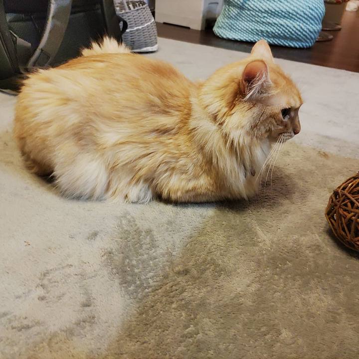 B1d273ce ce49 431d 8529 1d53a31a35fd 1659098433805