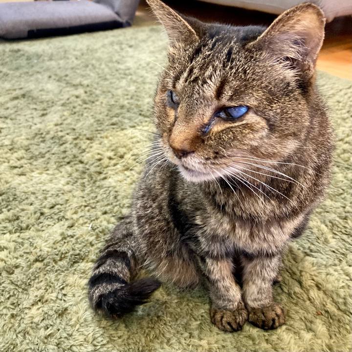 B1d276f0 66f3 4056 b14e e08759b07e9e 1686994802915