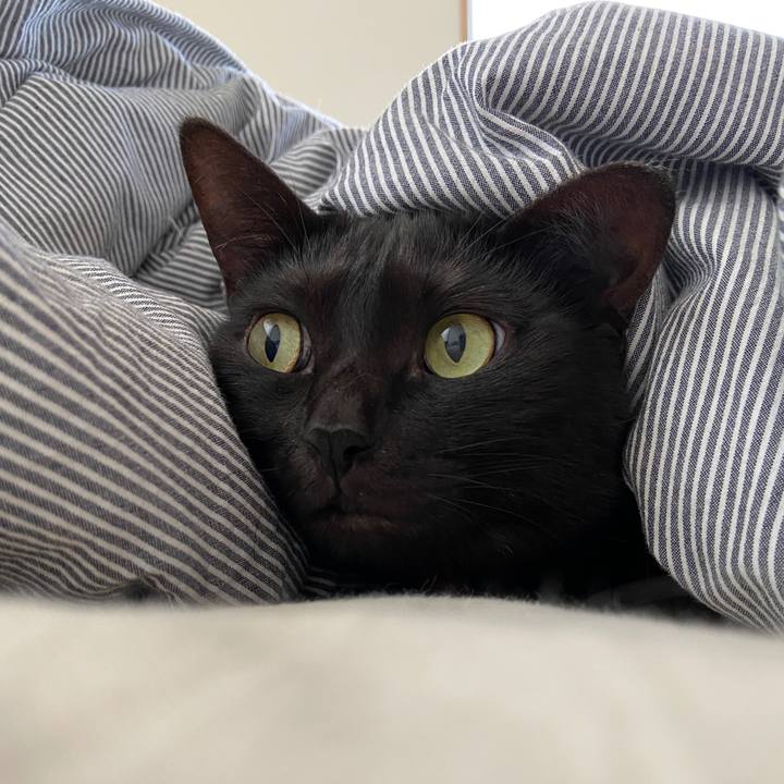 B1d27d50 cdad 48c8 90fe 47b4955038b7 1601645527646