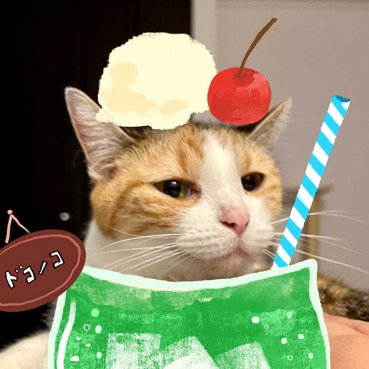 B1d2c096 73e7 4b94 9ef5 f7bcac351d44 1755079475859