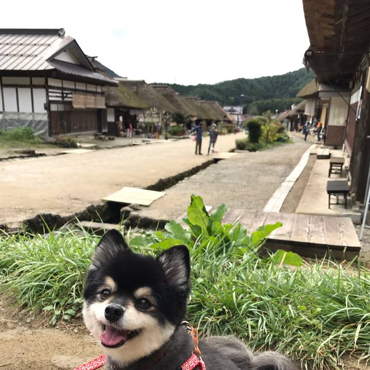 B1d2c5a5 8f57 4806 9375 7179c68daa39 1573643550634