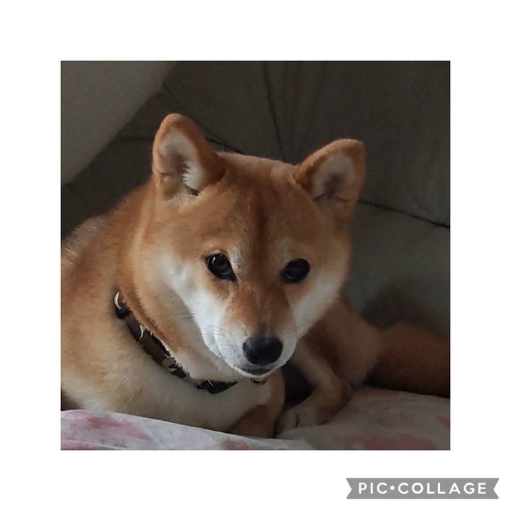 B1d36013 052e 4814 9335 eefb64b9a181 1681532985297