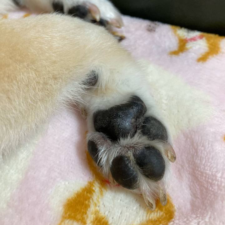 B1d37fb6 9224 43b9 9d40 ecf35800e387 1617108317735