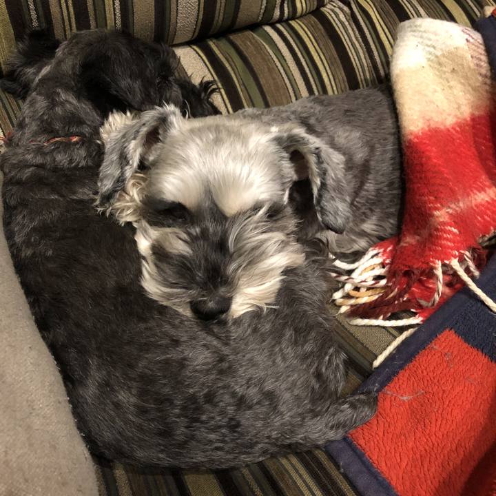 B1d38eb4 5c7c 484a bdb8 9c0912e8dd9d 1581260358986